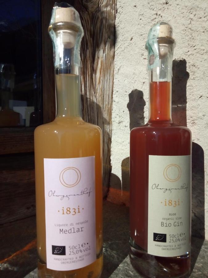 Obergereuth Hof 2021 Leilighet San Martino In Passiria  Eksteriør bilde