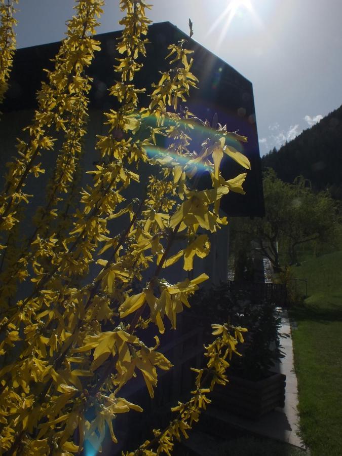 Obergereuth Hof 2021 Leilighet San Martino In Passiria  Eksteriør bilde