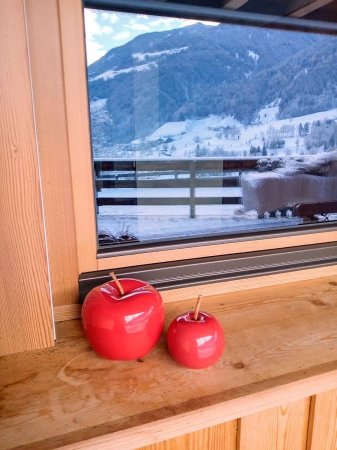 Obergereuth Hof 2021 Leilighet San Martino In Passiria  Eksteriør bilde